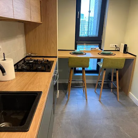 North Suites Onix - Aviatiei - Pipera - Private Parking-3